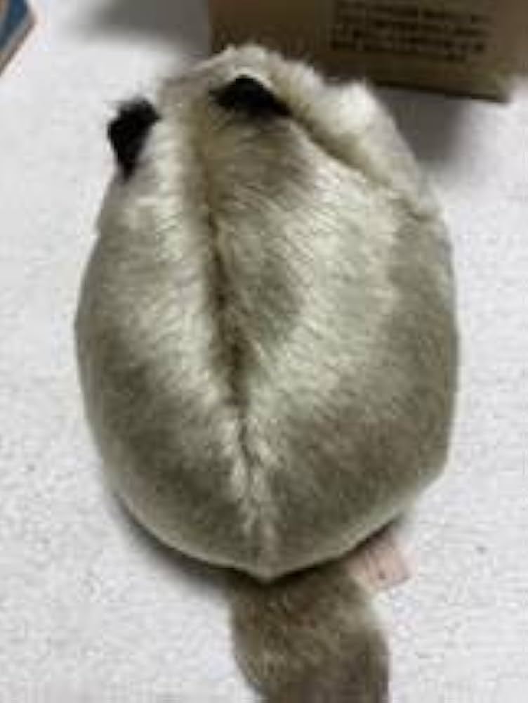 Amazon.co.jp: えぞ子だぬき ぬいぐるみ ばんばぱえりあ 動物